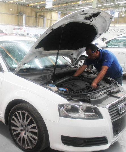 Auto de Servicio los Pinos