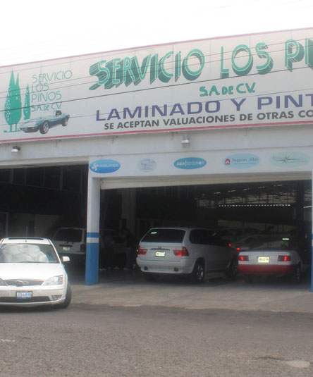 Servicio los Pinos 1